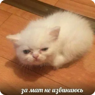 😡