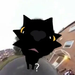 ❓