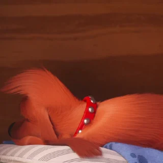 🥱