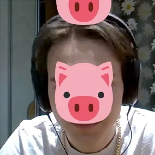 🐷