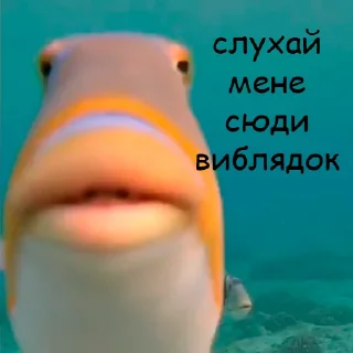 🙂