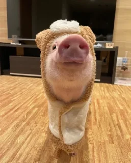 😄