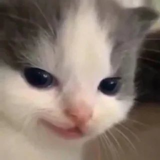 😏