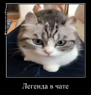 😈