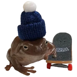 🐸