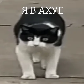 😧
