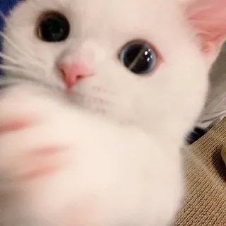 😁