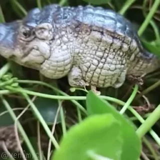 😳
