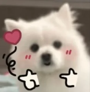 犬 @MyselfMeandIo