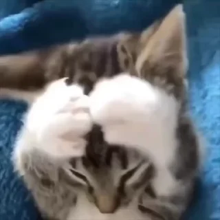 🫣