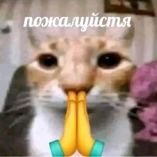 🙏