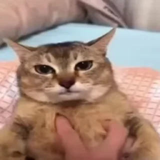 🤬