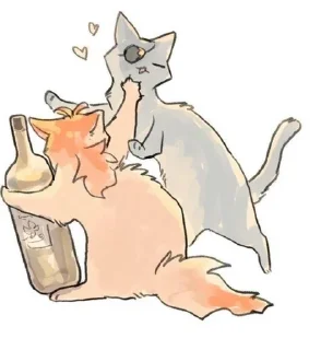 ✨