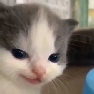 😈