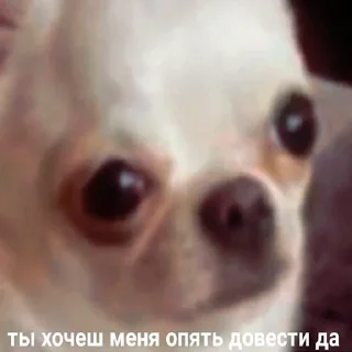 😡