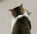 ❤