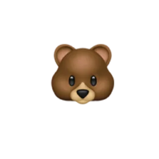 🐻