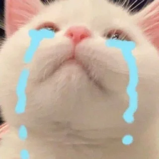 🥲