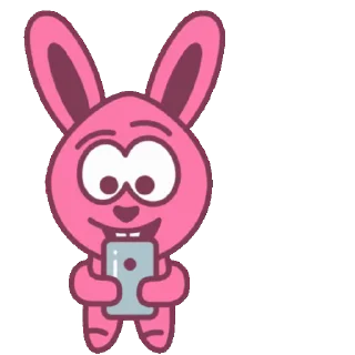 🐰
