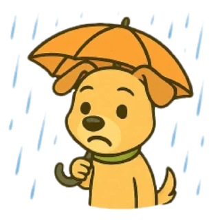 ☔️