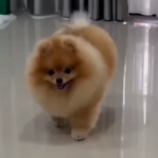 🤩