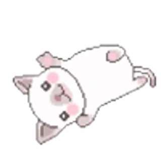 🐱
