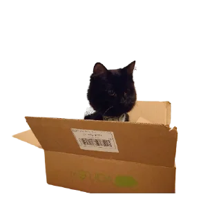 📦
