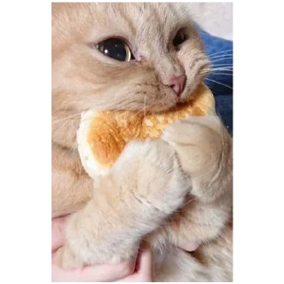 🧇