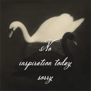 🦢