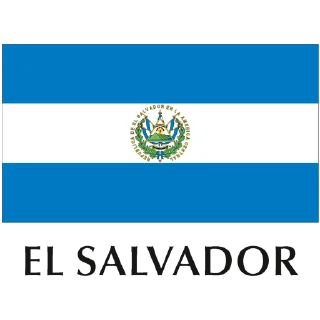 🇸🇻