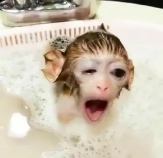 🥱