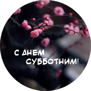 🙏