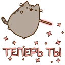🐱