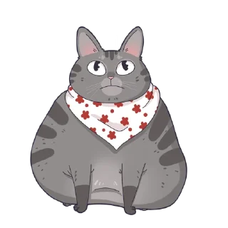 🐱