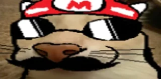 🍄