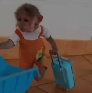🥰