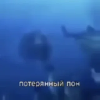 💫