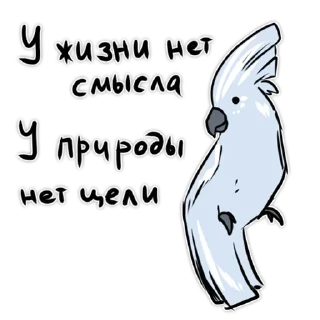 ☺️