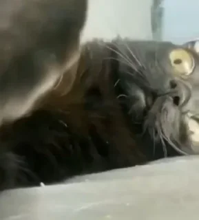 😠