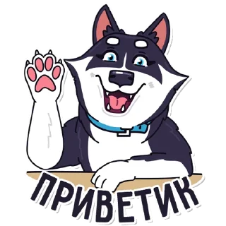 🙋‍♀️