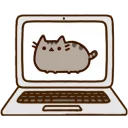 💻