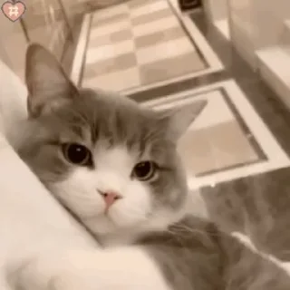 👩‍🦰
