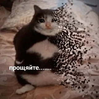 😭