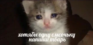 😢