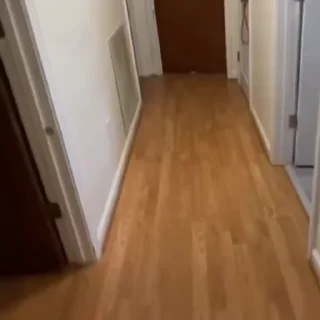 🐈