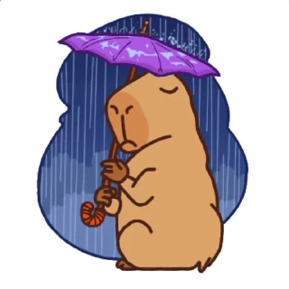 ☂️