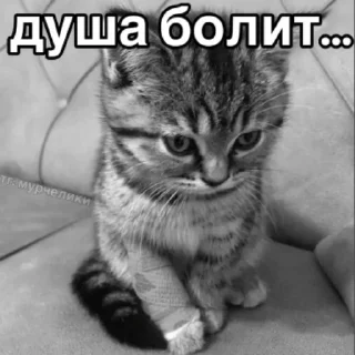 😥