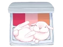 🐰