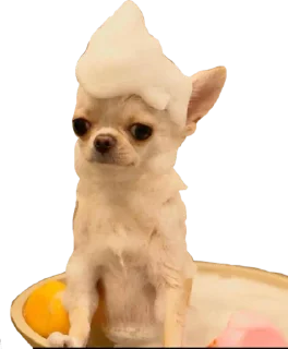 🛁