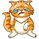 😿